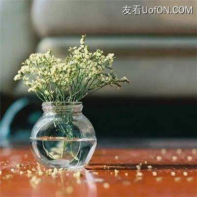 行江湖手游